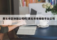 黄石有区块链公司吗[黄石市有哪些平台公司]