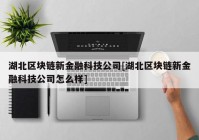 湖北区块链新金融科技公司[湖北区块链新金融科技公司怎么样]