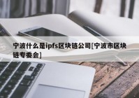 宁波什么是ipfs区块链公司[宁波市区块链专委会]